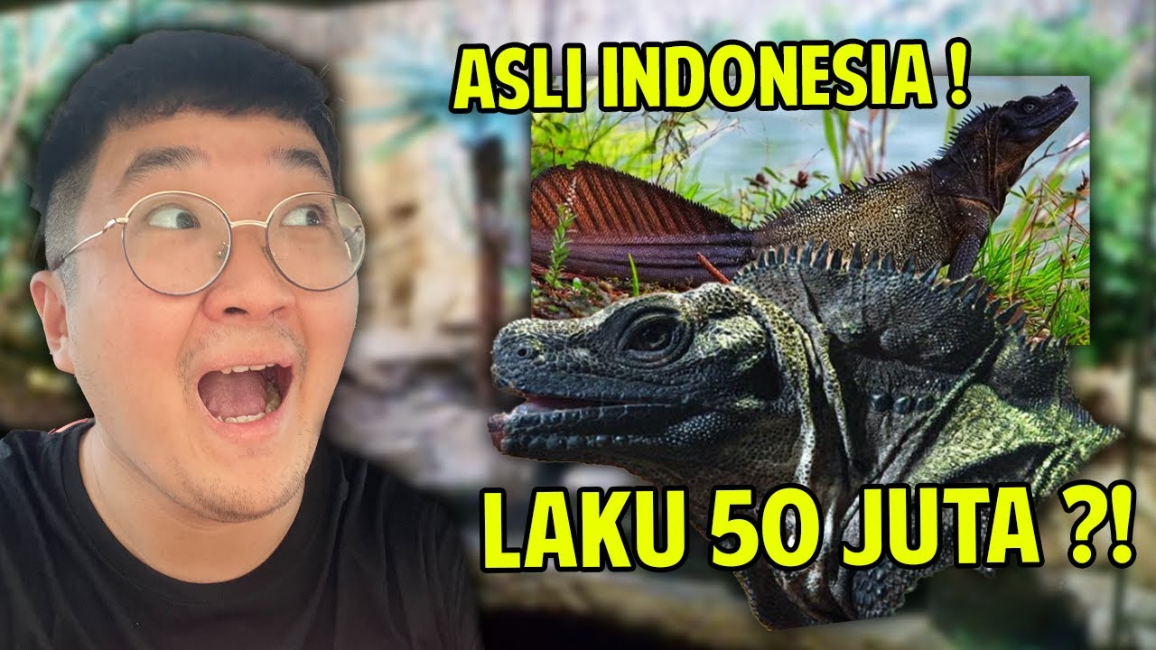 HEWAN PURBA ASLI INDONESIA ! SOA LAYAR - SAILFIN DRAGON