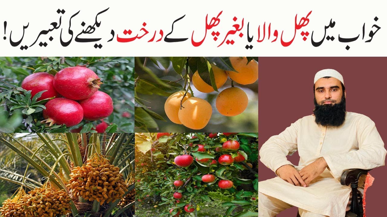 khwab mein phal ka darakht dekhna | Khawab Mein Darakht Dekhne Ki Tabeer Urdu | Dream Interpretation