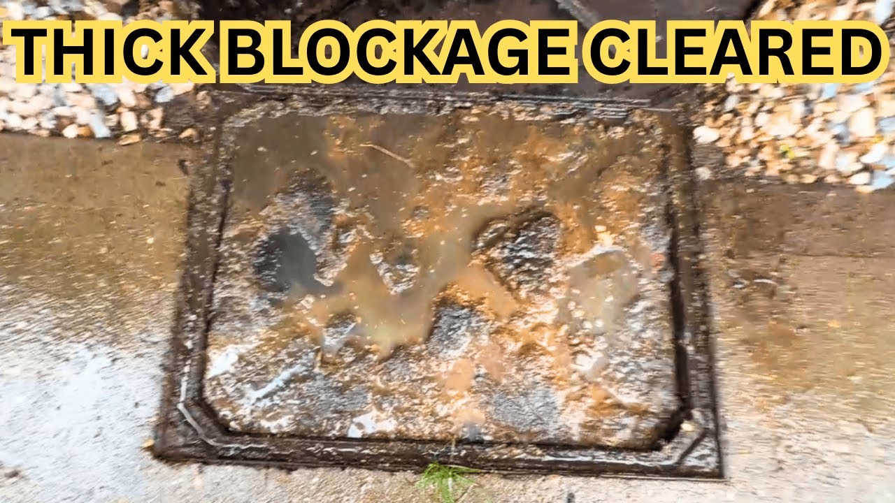 Want Clear Drains? Watch This Drain Cleaning Expert at Work