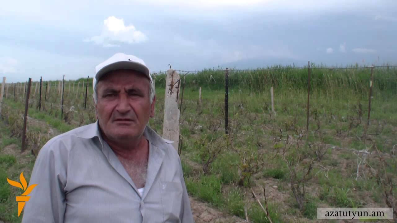 Կարկտից տուժած գյուղացիների վարկերը կազմում են շուրջ 9 մլրդ դրամ
