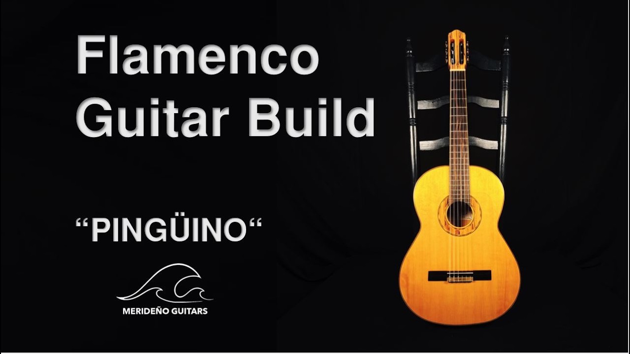 Flamenco Guitar Build - Flamenca Blanca 