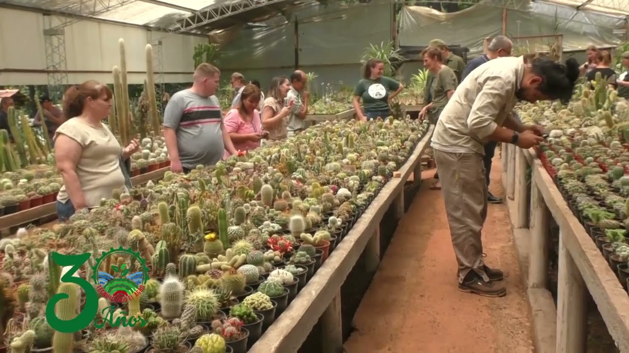 Floricultura Ing Daniel Morisigue experto en floricultura del INTA reseña la labor en Argentina