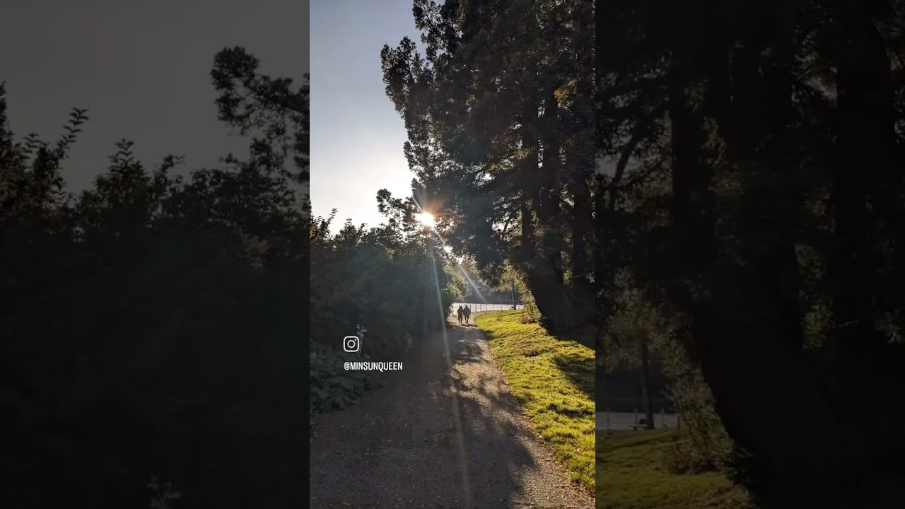 (Minsun🔅 Vlog) Kamloops to Victoria for short vacation/ Canada BC / Kamloops - Calgary - Victoria