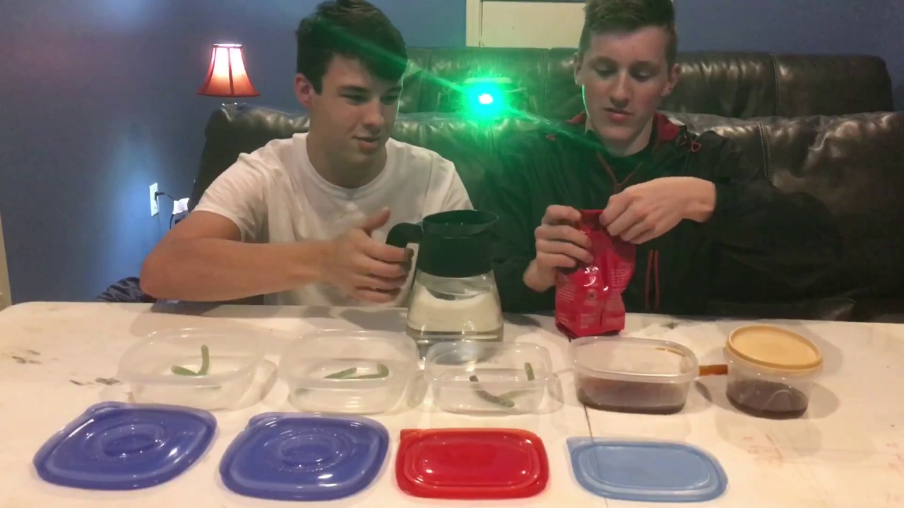 How to Scent Your Soft Plastic Lures