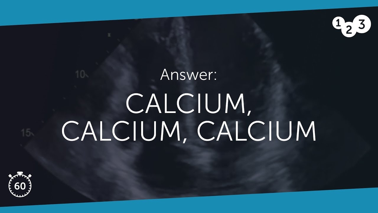 60 Seconds of Echo Teaching Answer: Calcium, Calcium, Calcium