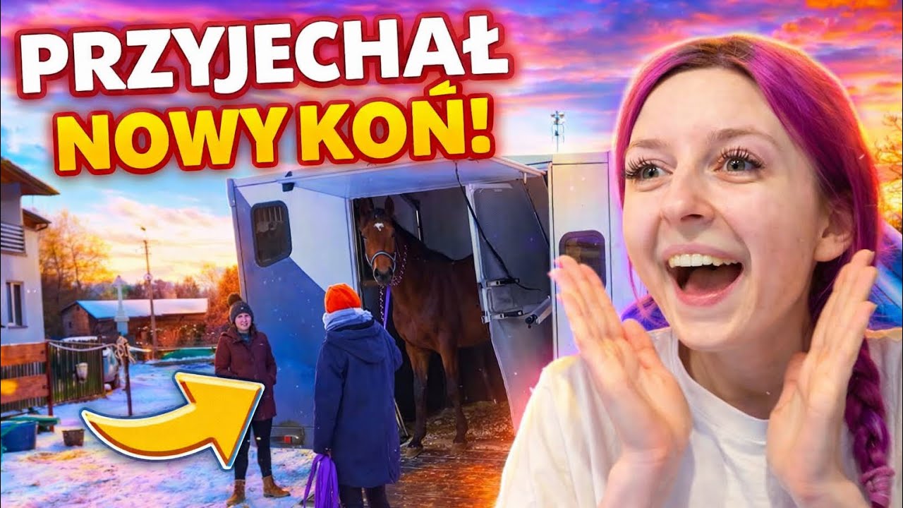 JEDZIEMY PO NOWEGO KONIA!