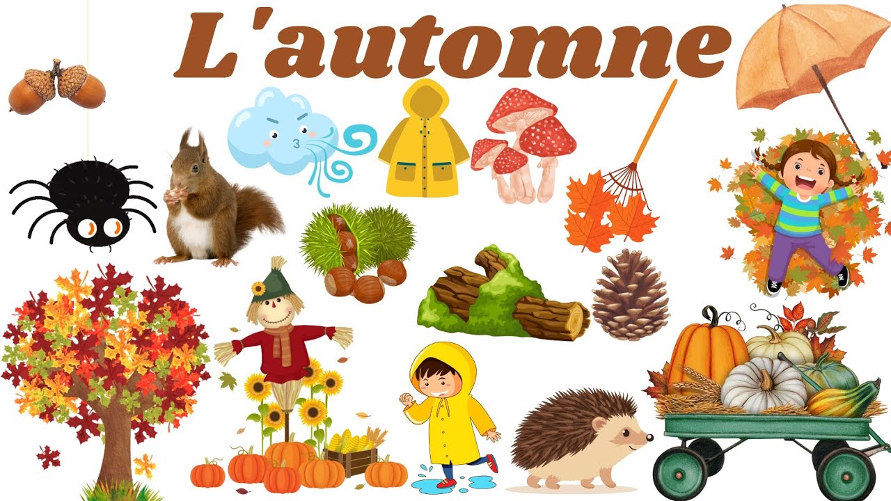Le vocabulaire de l'automne en français.