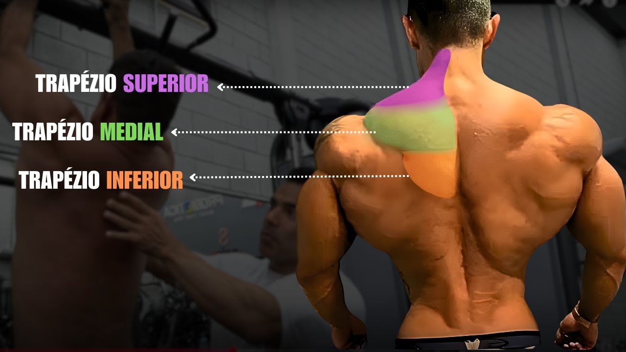 OS ÚNICOS 3 EXERCICIOS PARA TRAPÉZIO QUE VOCE PRECISA!