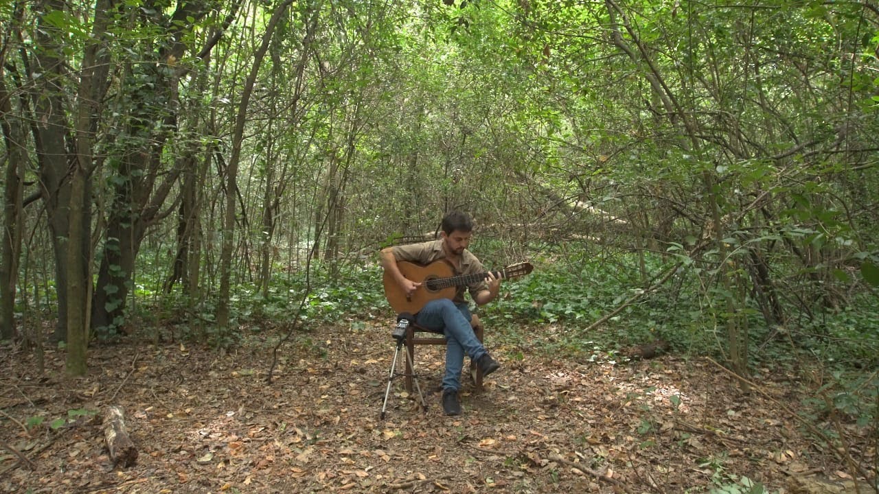 SONIDOS DEL MONTE - BENJAMÍN CIPRIÁN