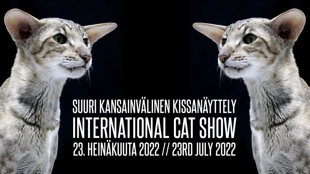 International Cat Show - 23rd July 2022