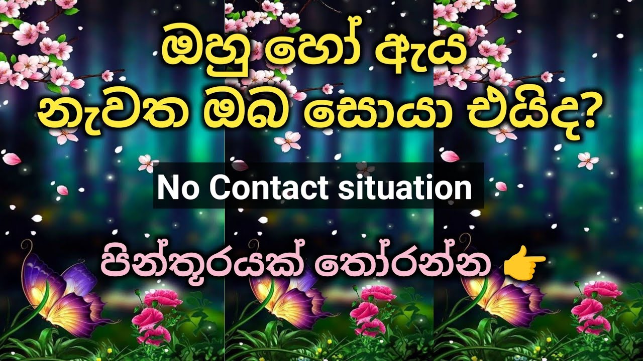 ඔහු හෝ ඇය නැවත ඔබ සොයා එයිද? No Contact situation ✨💫  @divineflow-Thathsarani #nocontact  