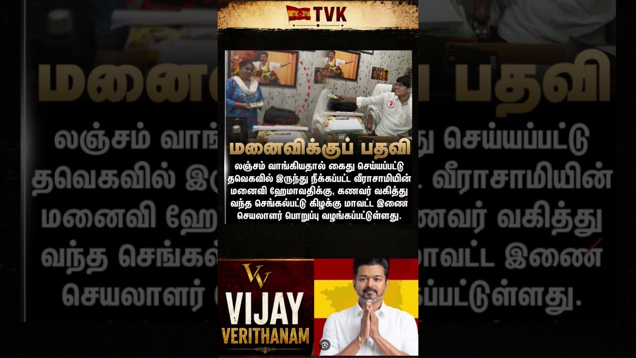 TVK || manadu #thalapathyvijay#thalapathy #youtubeshorts #shorts #fyp#vijay#jananayagan#cmvijay