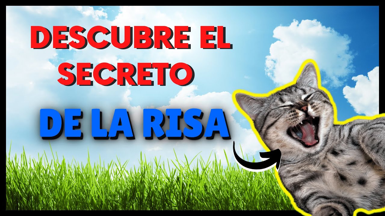 🤪 Aprende a Cómo REIR 😹 RISOTERAPIA 🙏🏻 #1 PARTE