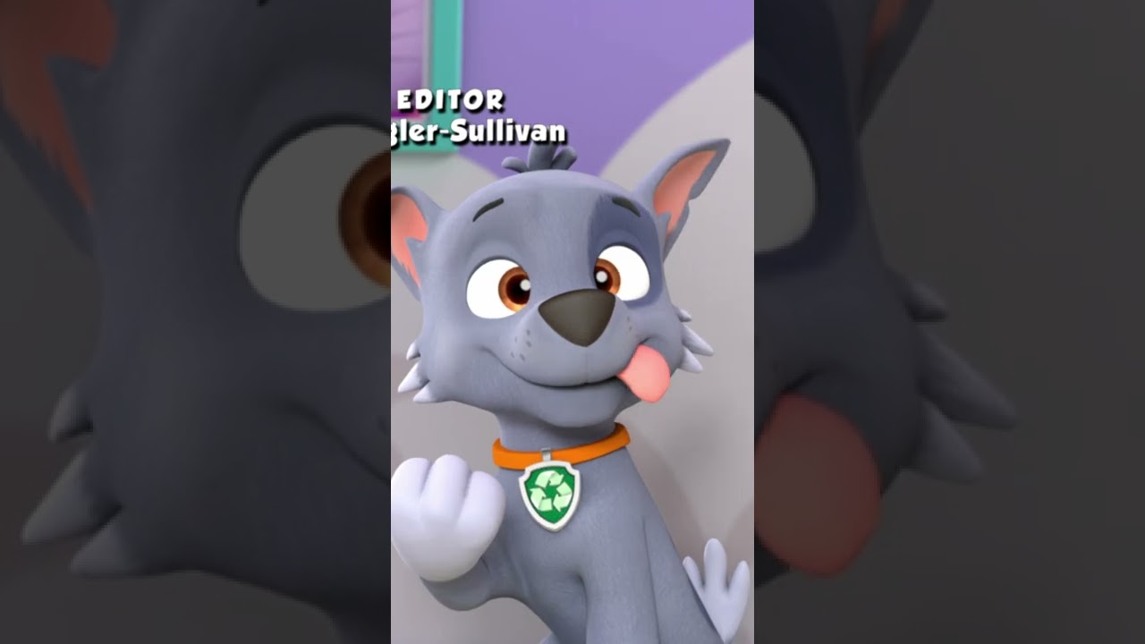 Derpy Rocky - Paw patrol