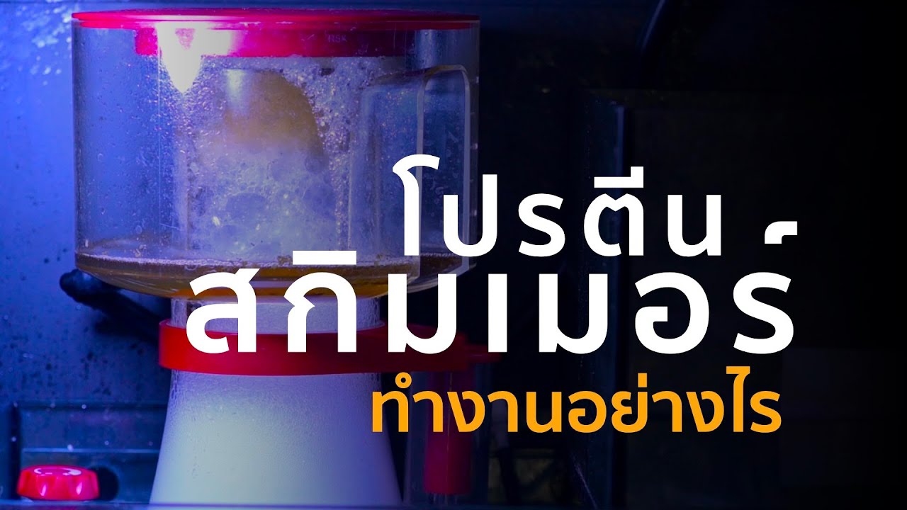 เบื้องลึกเบื้องหลังสกิมเมอร์ | VETed S3E2