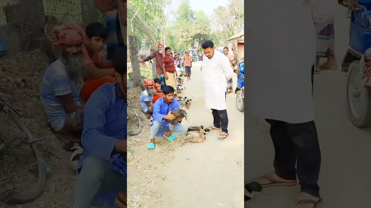 বাজারে বিনোদন 😂🤣😁
