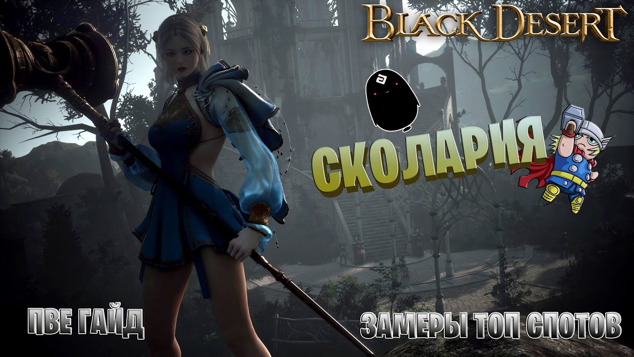 Сколария | БДО | ПвЕ Гайд | Scholar | BDO | PvE Guide