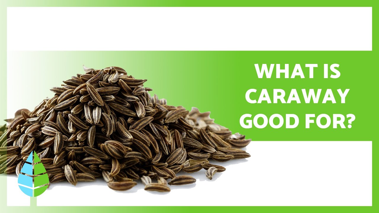 BENEFITS of Caraway ✅ (Properties, How to Take it and Contraindications)