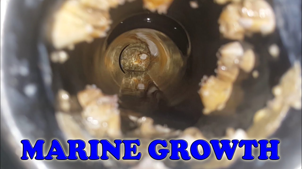 MGPS - MARINE GROWTH PREVENTING SYSTEM