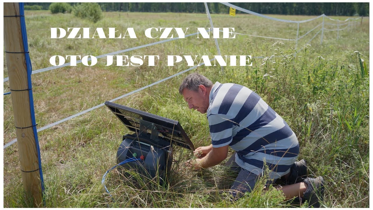 Jak wygląda pastuch dla koni po roku użytkowania w Plutyczach Podkaszanie Pomelac