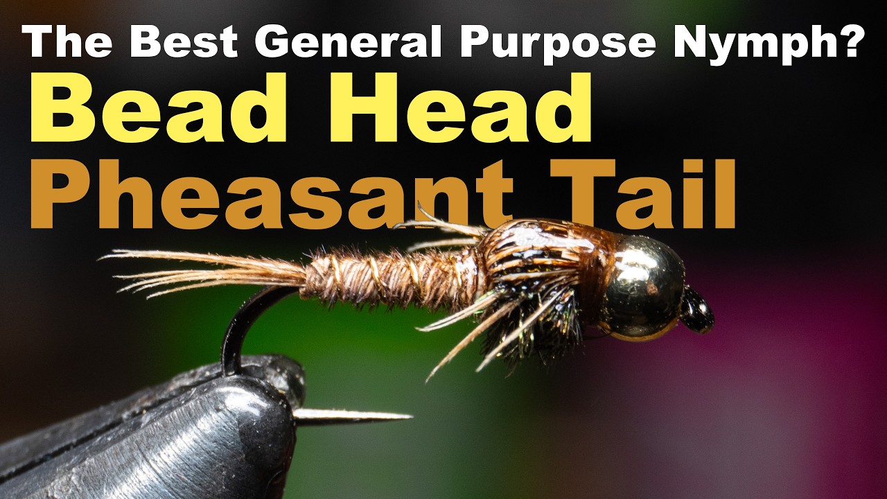 Bead Head Pheasant Tail - General Purpose