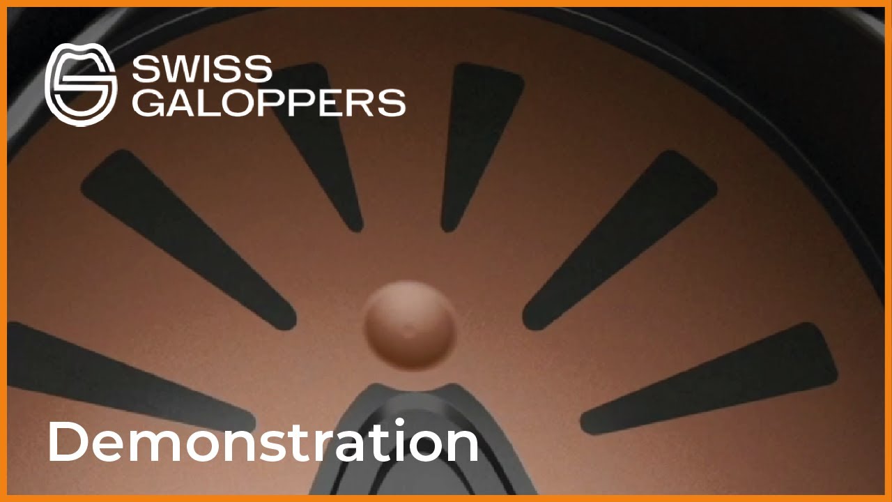 Swiss Galoppers Hufschuh Demonstration