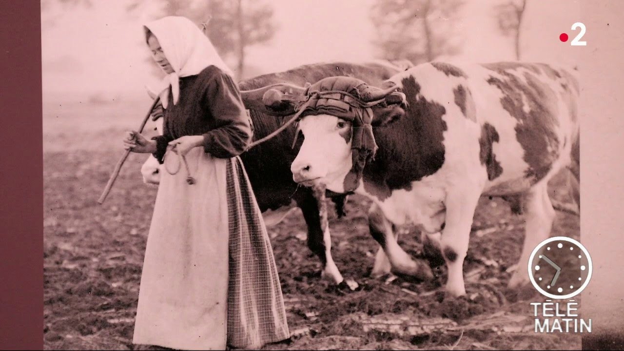 Emploi – L’émancipation des femmes pendant la guerre
