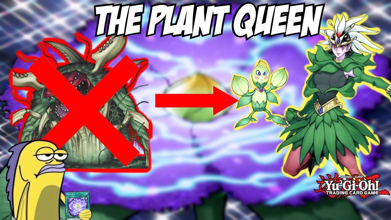 The Video Ends When I Summon Poison Rose
