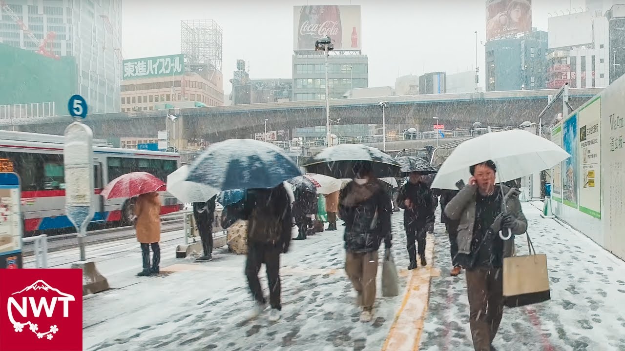 Walking in the snow in Tokyo Shibuya - 4K
