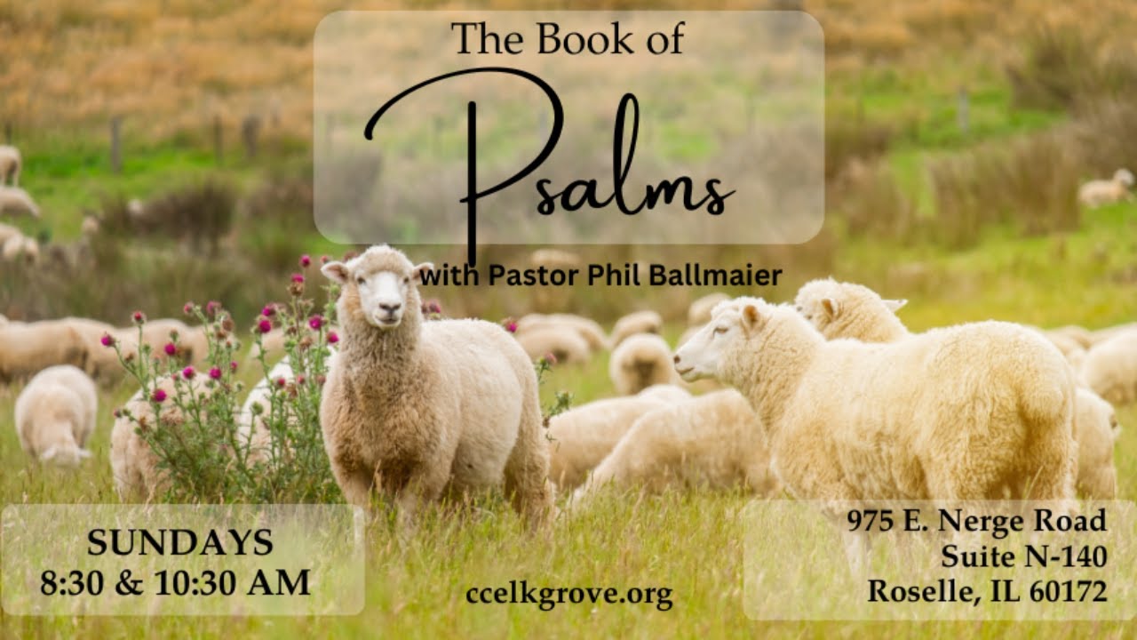 Sundays Live | 17. Psalm 11:3 If The Foundations Are Destroyed-Part 5 (9-14-25)
