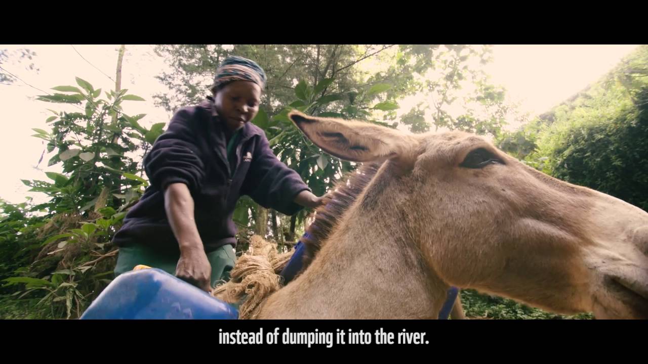 Nancy Rono the water steward