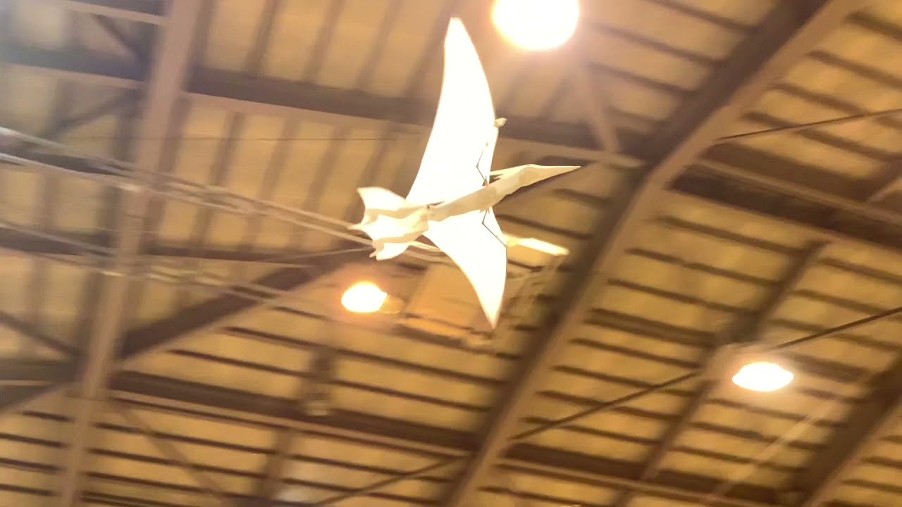 My little Pteranodon　Prototype 3.12　プテラノドン　ラジコン