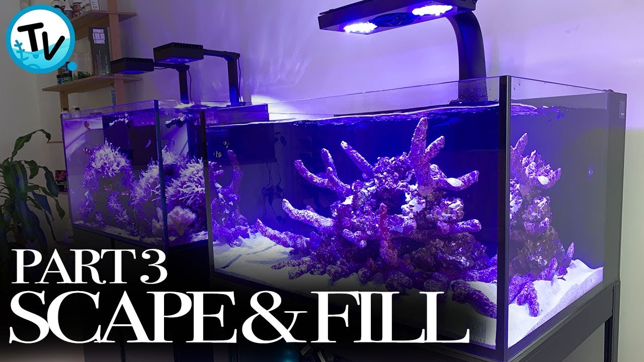 Innovative Marine Build Part 3 - Scape and Fill!