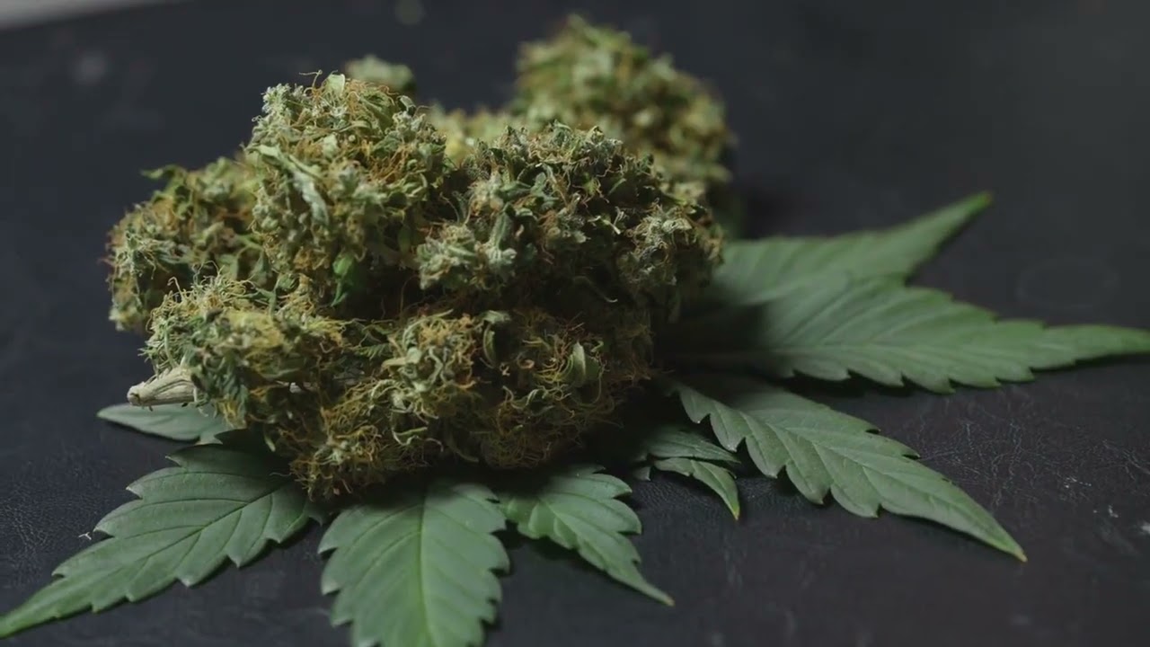 train wreck marijuana strain