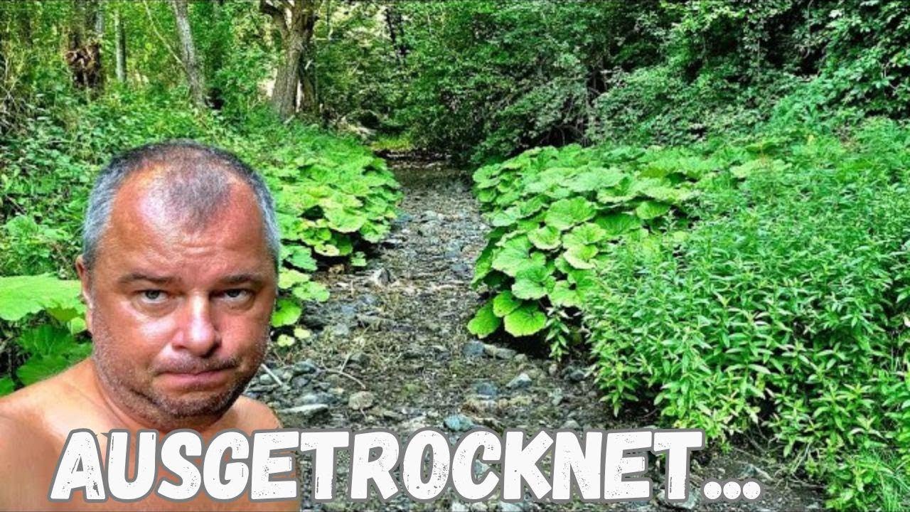 Katastrophe! Der Fluss ist komplett ausgetrocknet...