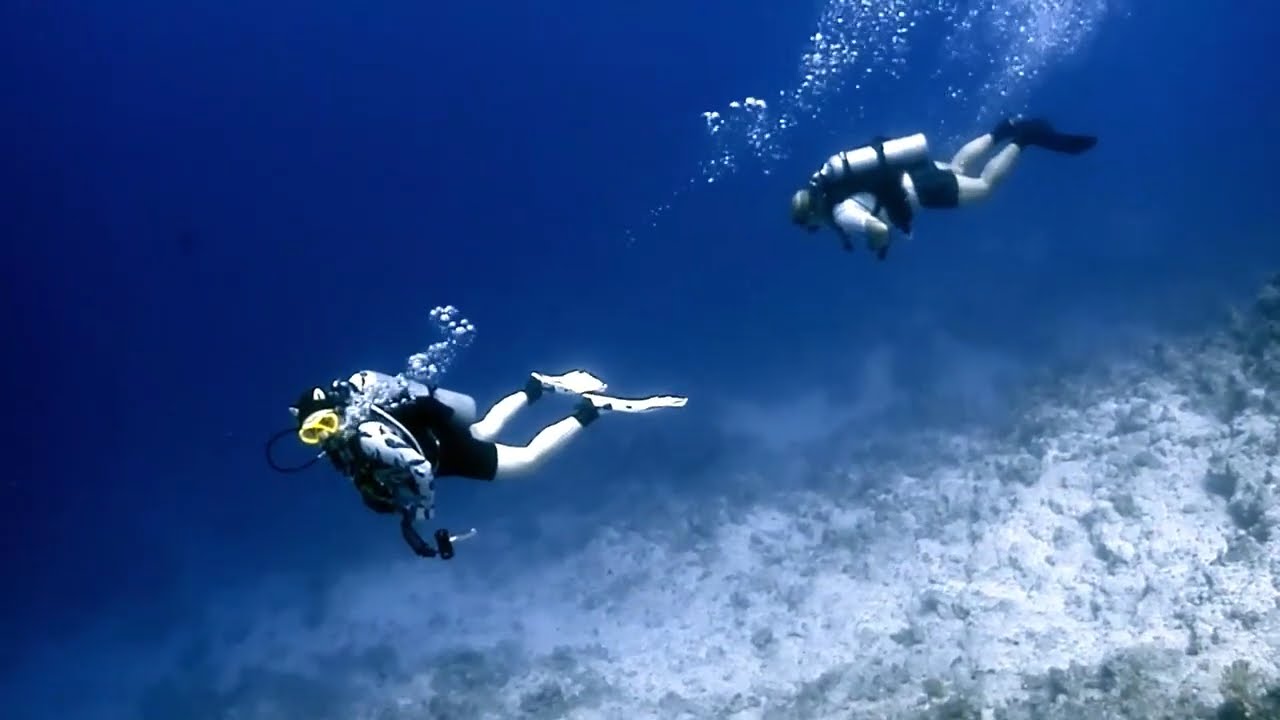 2025 Egypt (diving)
