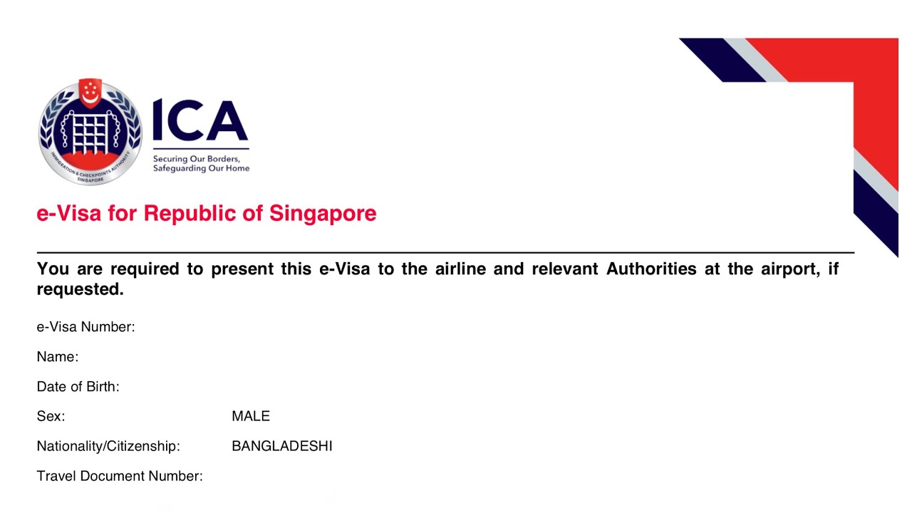 How to Check Singapore Visa Status & Download Your Singapore e-Visa Online (Easy Guide)
