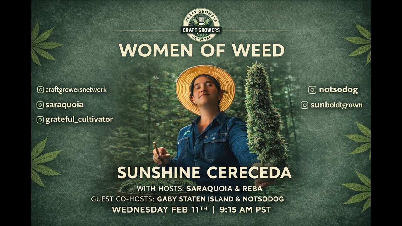 WOW Women OF Weed 4 With Sunshine Cereceda 40 Years of Weed in Humboldt