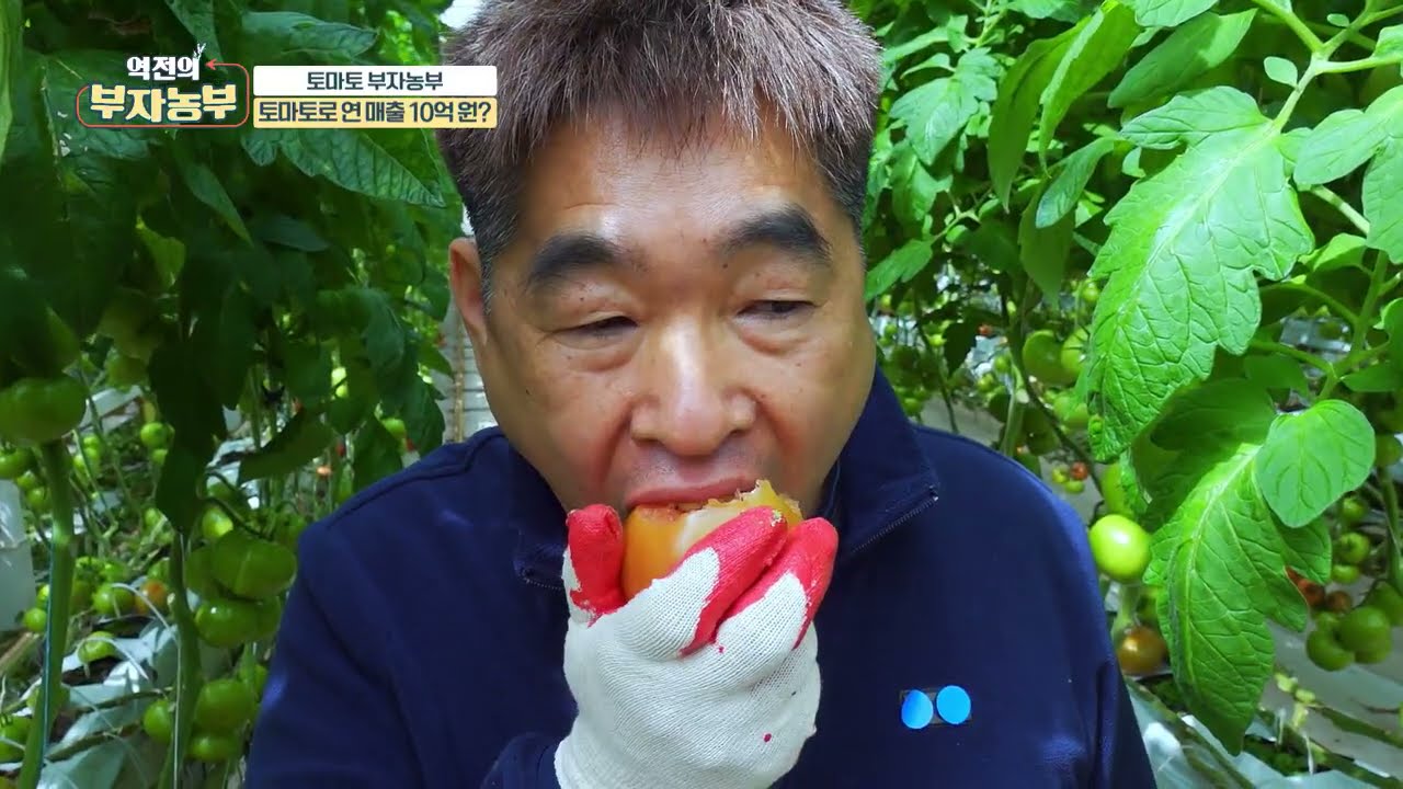 [139회] 토마토 부자농부! 연매출 10억원 달성?