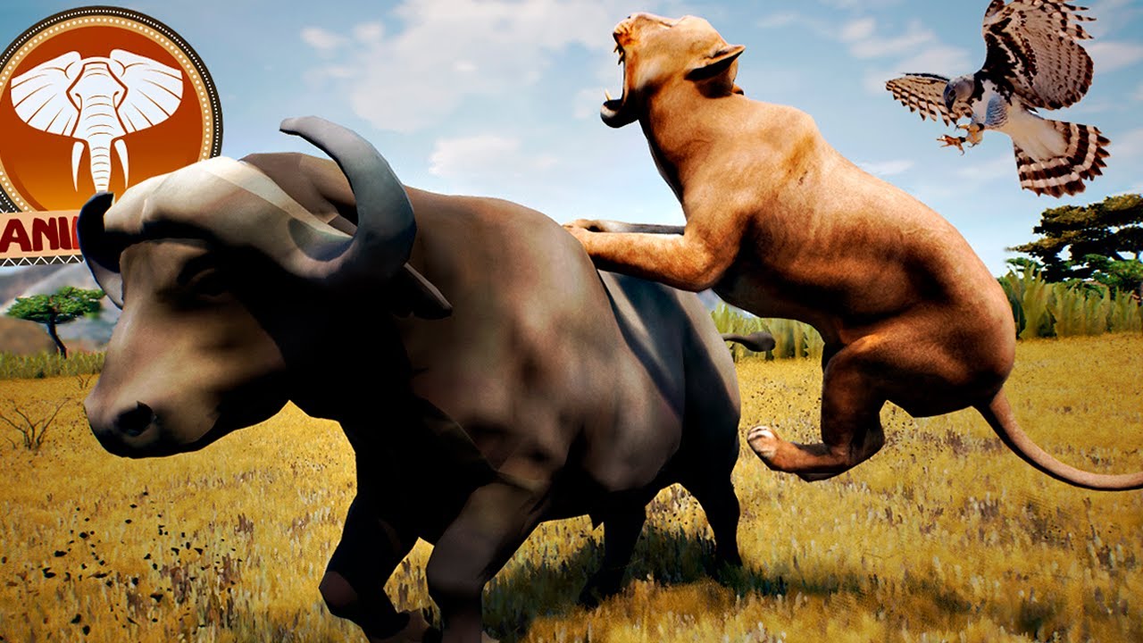 Animalia | Novo Jogo de Sobrevivência de Animais! Jogando de Leão, Hiena, Elefante e Mais | (PT/BR)