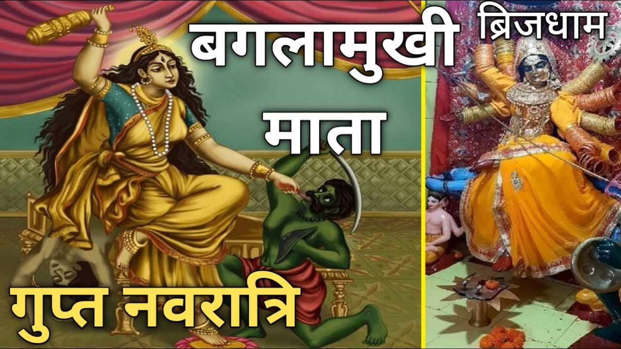 Magh Gupt Navratri Day 8 - माता बगलामुखी चालीसा | Ma Baglamukhi Puja Vidhi Aur Mahatva | Baglamukhi