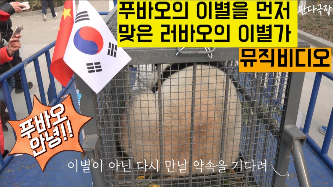 [PandaTV] #푸바오의 이별을 먼저 맞은 러바오의 이별가 - 이별이 아닌 다시 만날 약속(뮤직비디오)