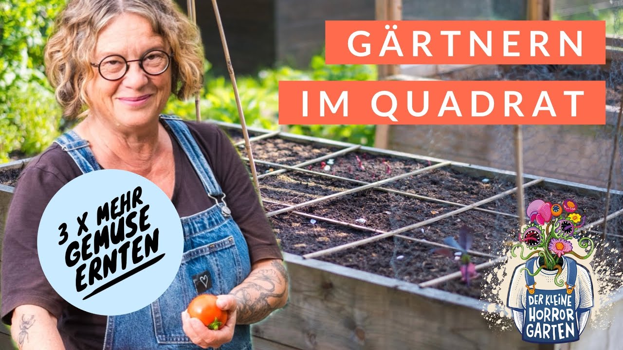 G&auml;rtnern im Quadrat - 3 x mehr verschiedene Gem&uuml;se ernten
