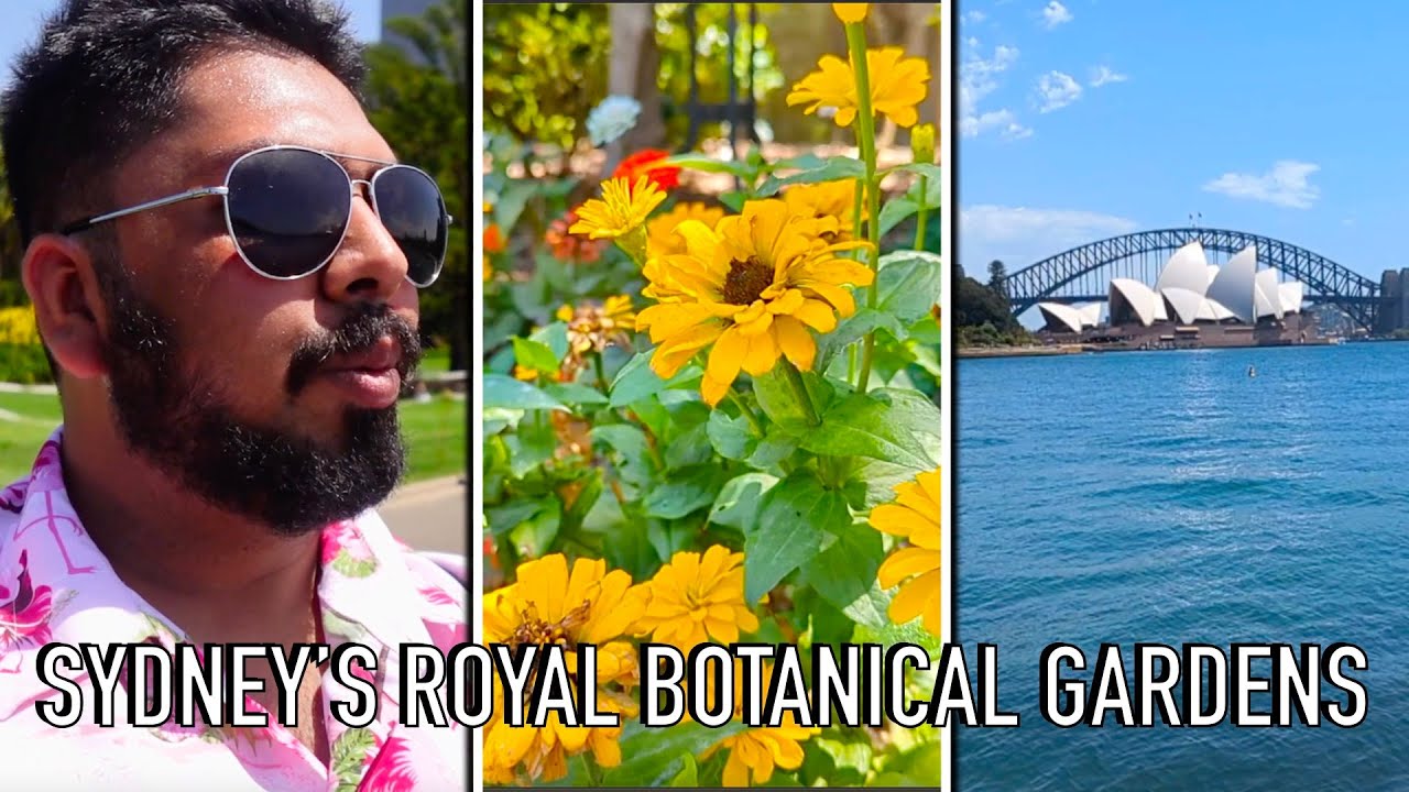 I Went To Sydney's Royal Botanical Gardens!
