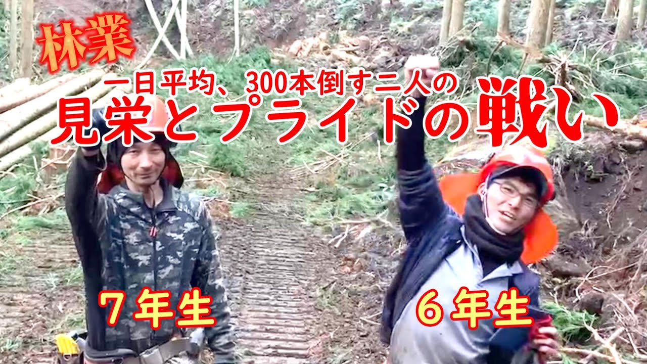 伐倒、見栄とプライドをかけた戦い