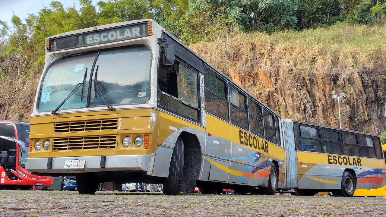 RESTAURANDO A PINTURA DESSE CAIO AMELIA SCANIA