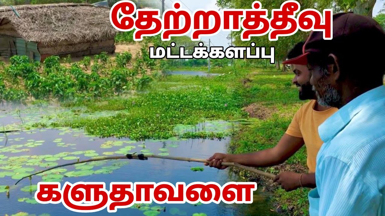 Batticaloa | Thettativu | kaluthavalai | Pk vlogsTamil | Sri Lanka  #batticaloa #2023  #karanview