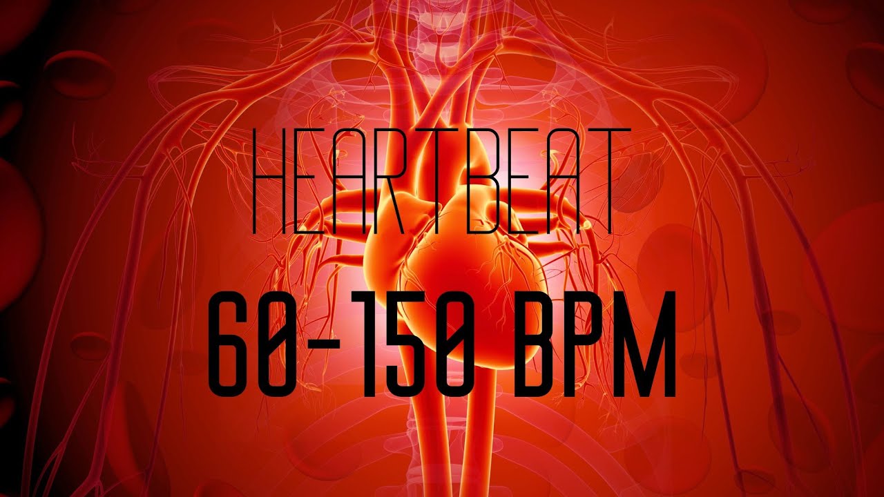 60bpm to 150 bpm and slow down 🫀 4 minutes