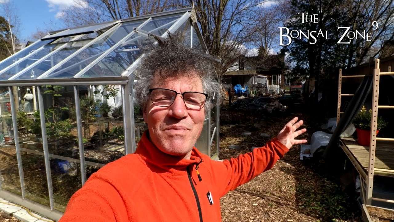 An Early Spring Bonsai Bench Tour, The Bonsai Zone, April 2022