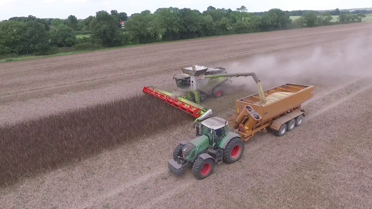 12m CTF Harvest, Claas Lexion 780, NES Farming